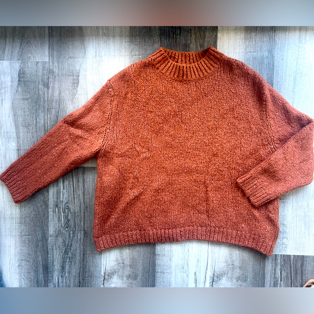Zara long sleeve rust colored sweater